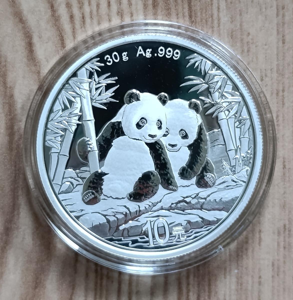 Chinese Panda 30 g Silver Coin (2026)